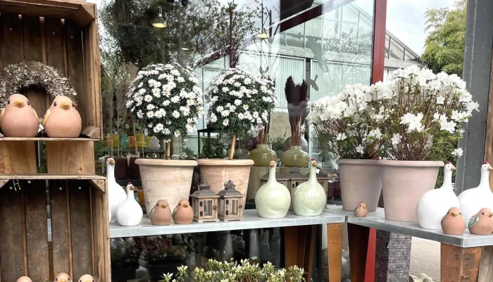 Fleurs Arthur Andre Wust Videoen - Steinsel
