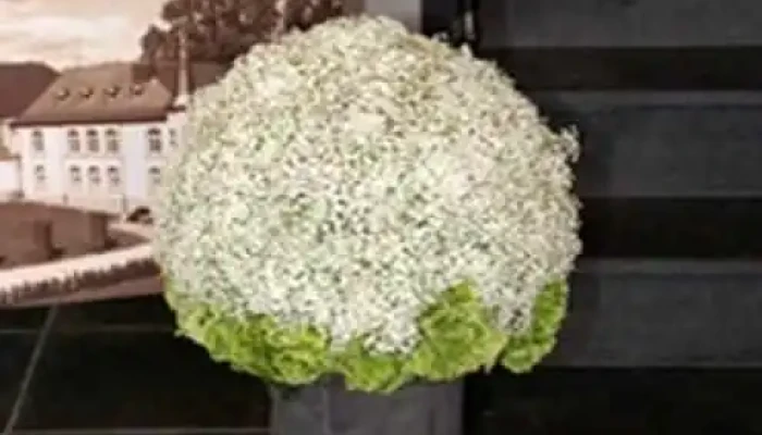 Fleurs Nicole Sarl Innenansichten - Clerf