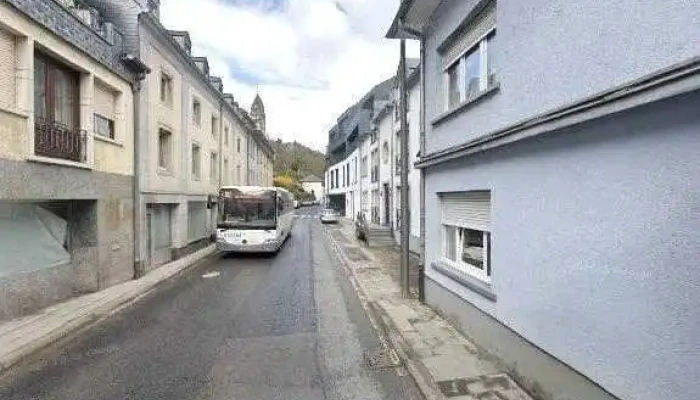 Fleurs Nicole Sarl Street View 360deg Fotos - Clerf