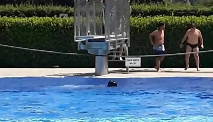 Freibad Remich -  Schwimmbecken - Remich