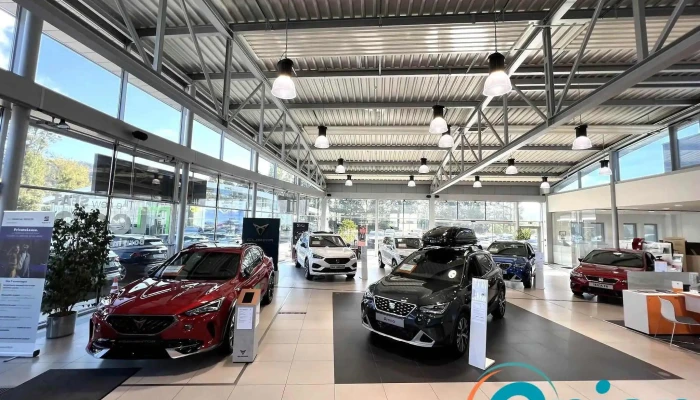 Garage M Losch   Bereldange Volkswagen Audi Seat Cupra Skoda Videoene - Walferdingen