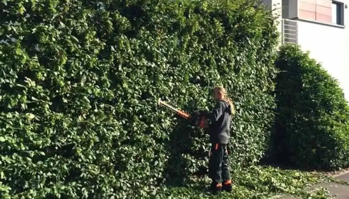 Gardenhome Jardinage Sarl Vom Inhaber - Diekirch