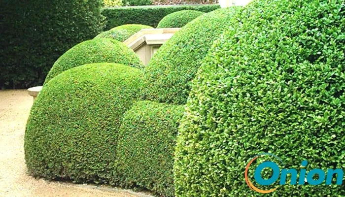 Gartenbau und Landschaftsbau Mock - Mertert
