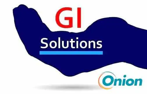 Gi Solutions Sarl -  Vom Inhaber - Esch An Der Alzette