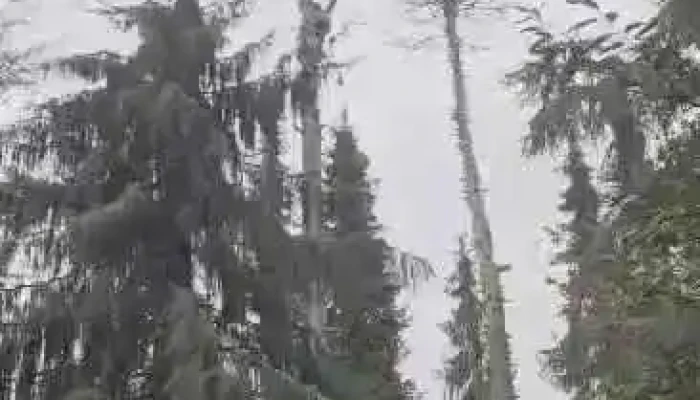Hl Paysage Luxembourg -  Videos - Dudelange