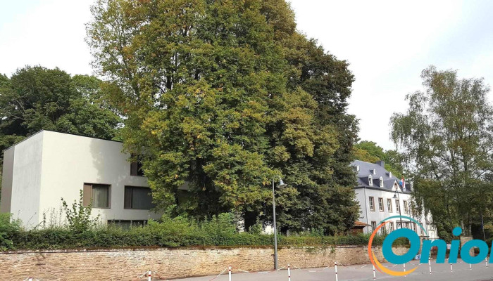 Infs Site Niederfeulen (ensis) - Feulen