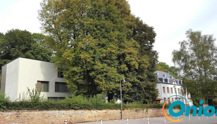 Infs Site Niederfeulen Ensis Nummere - Feulen