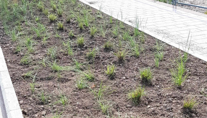 Isogreen Sa Rl Dudelange - Dudelange