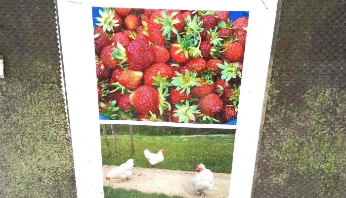 Jardin Communautaire -  Landschaftsgestaltung - Sanem