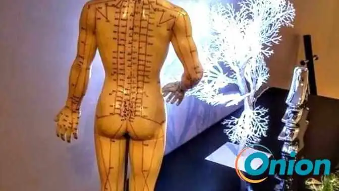 Kt Bio Massages Sàrl - Zac Hohkaul