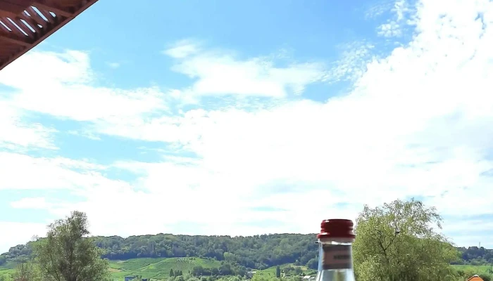 Le Chalet De Remerschen -  Fotoen - Schengen