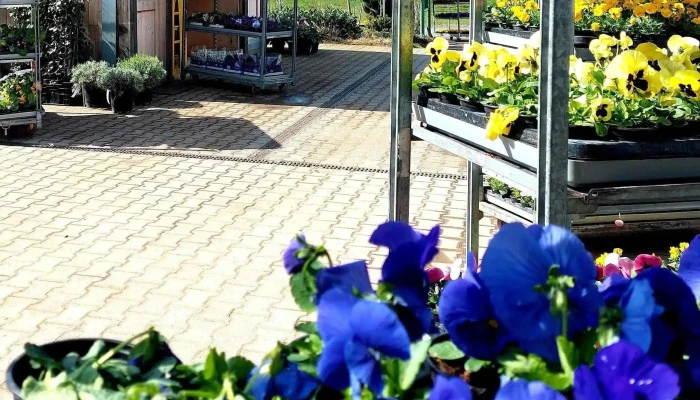 Loschetter Philippe -  Garten - Helperknapp