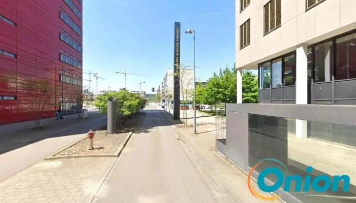 Luxembourg Income Study (Ci-après Dénomé Lis) Asbl - Esch-Belval Esch-Sur-Alzette