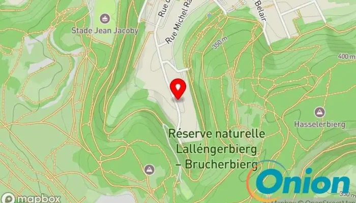 Kaart vun Manu Services SARLS Reinigungsdienst zu Schifflingen
