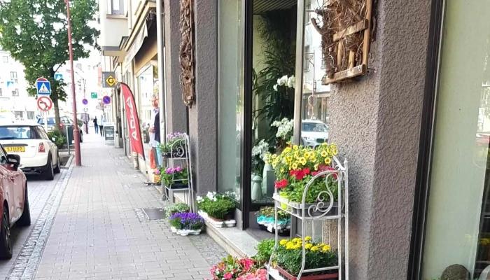 Mille Fleurs -    Jan Lippmann Fotoen - Mertert