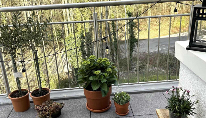 Mm Clean Services Telefon - Bad Mondorf