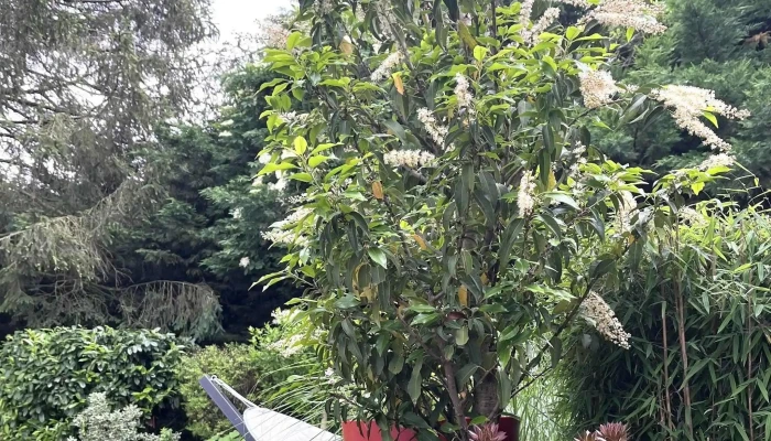 Mon Jardin -  Adress - Dippach