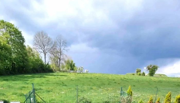 Mon Jardin -  Katalog - Dippach