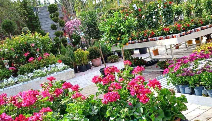 Mon Jardin -  Vom Inhaber - Dippach