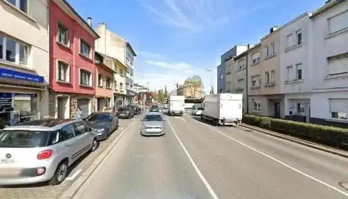 Mp Paysagiste -  Remisene - Esch An Der Alzette
