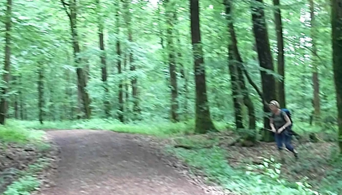 Natour Route 6 Vianden - Vianden