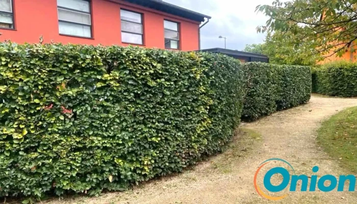 Natural Garden's Cardose & Fortes Sarls - Dudelange