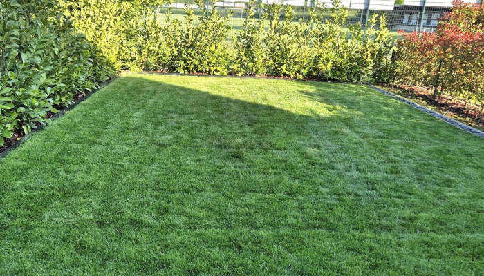 Natural Gardens Cardose Fortes Sarls Dudelange - Dudelange