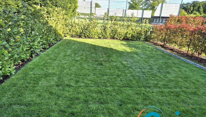 Natural Gardens Cardose Fortes Sarls Neueste - Dudelange