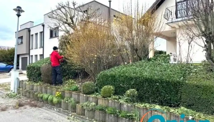 Natural Gardens Cardose Fortes Sarls Vom Inhaber - Dudelange