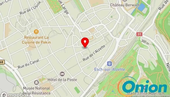 Kaart vun Nelly Home Services Reinigungsdienst zu Esch an der Alzette