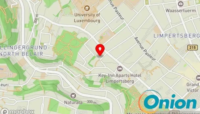 Kaart vun Netregie Sarl - IT Solutions & Services IT-Berater, Business-to-Business-Dienst, Computersicherheitsdienst, Computersupport und -dienste zu Luxemburg