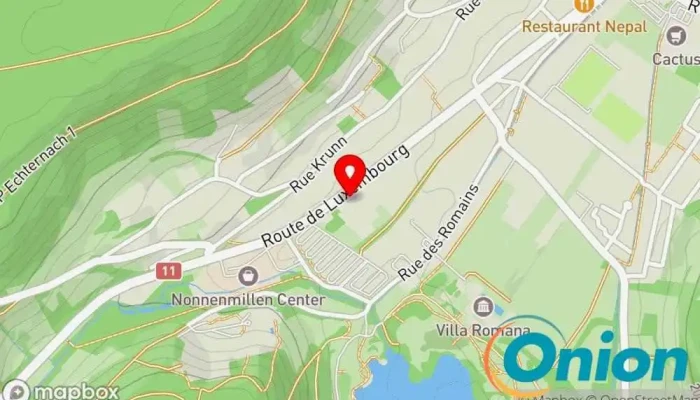 Kaart vun Nettoyage Olaf Stein Sarl Fensterreinigungsdienst, Reinigungsdienst, Dachrinnen-Reinigungsservice zu Echternach