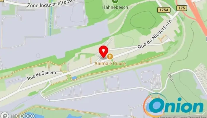 Kaart vun Niedercorn Physiotherapeut zu Differdange