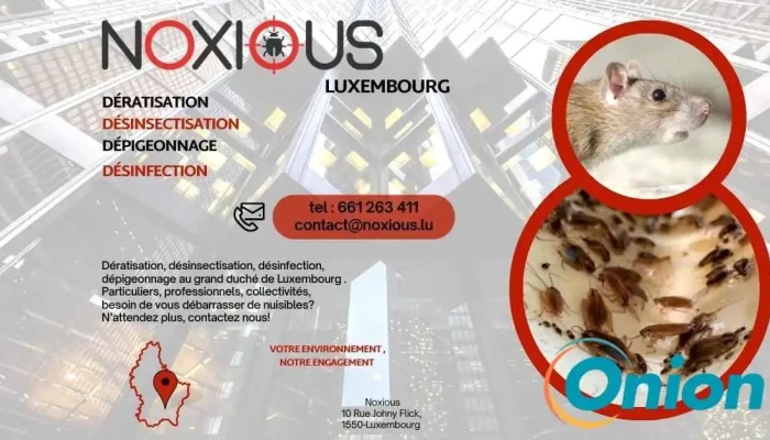 Noxious Luxembourg -  Instagrame - Luxemburg