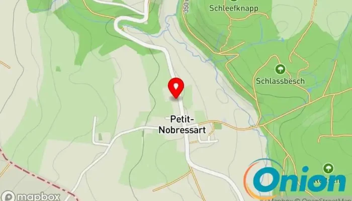Kaart vun Nts Sàrl Telekommunikationsanbieter, IT-Berater, Computernetzwerk-Service zu Ell