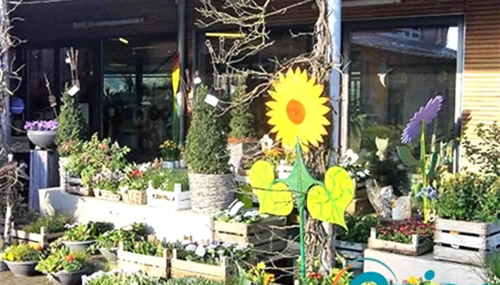 Op Der Schock -    Societe Cooperative Vom Inhaber - Redingen