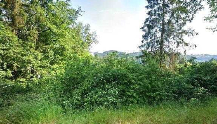 Panoramablick -  Street View 360deg Fotos - Vianden