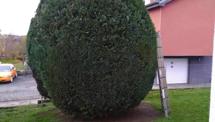 Peipis Garden Bewaertunge - Junglinster