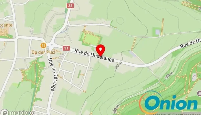 Kaart vun Pereira de Jesus Paysagiste Sàrl Gartenbauer, Zaunfachhandel, Garten, Gartencenter, Gärtner, Betrieb für Baumarbeiten zu Kayl