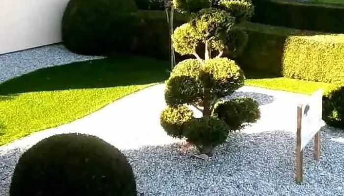 Pereira De Jesus Paysagiste Sarl Videos - Kayl