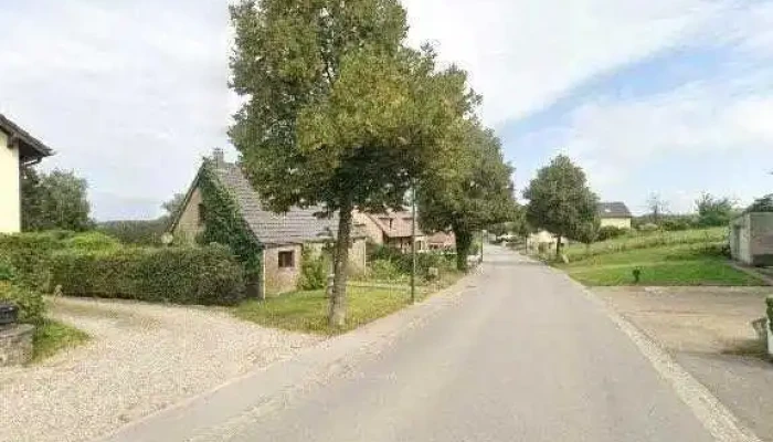 Pierre Habets -  Remisene - Wahl