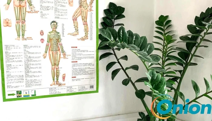 Ping Traditional Chinese Massage (Home Based) 推拿按摩 - Gare Luxemburg
