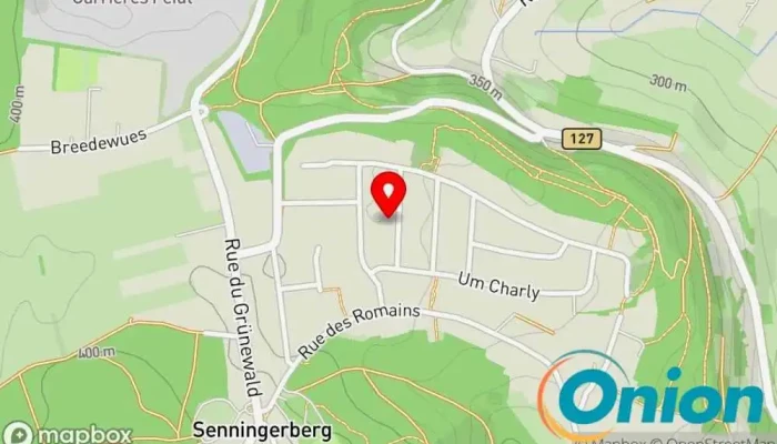 Kaart vun PRO AUDIO - SOUND LIGHT & VISION Berater für audiovisuelle Anwendungen, Reparaturdienst für audiovisuelle Geräte zu Niederanven