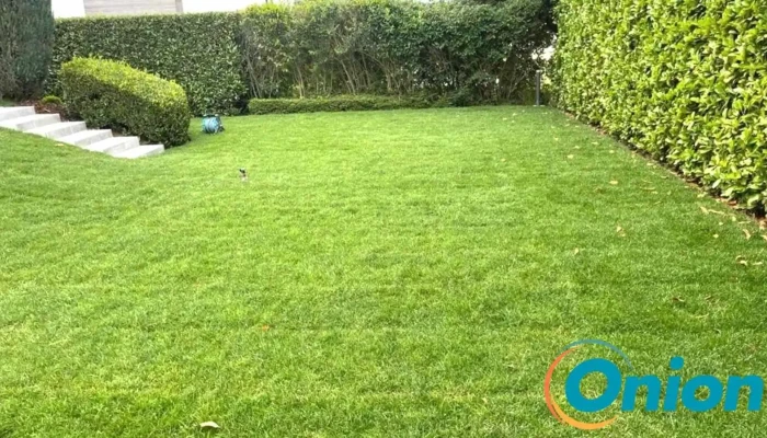 Rm Lux Jardinage Sarl - Esch An Der Alzette