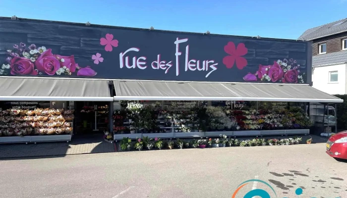 Rue Des Fleurs -  Kataloge - Strassen