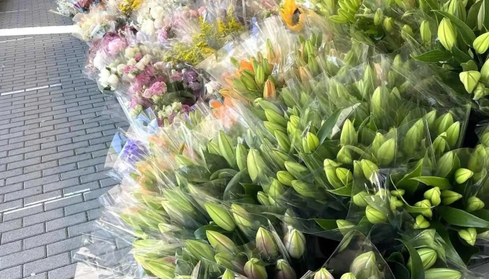 Rue Des Fleurs -  Vom Inhaber - Strassen