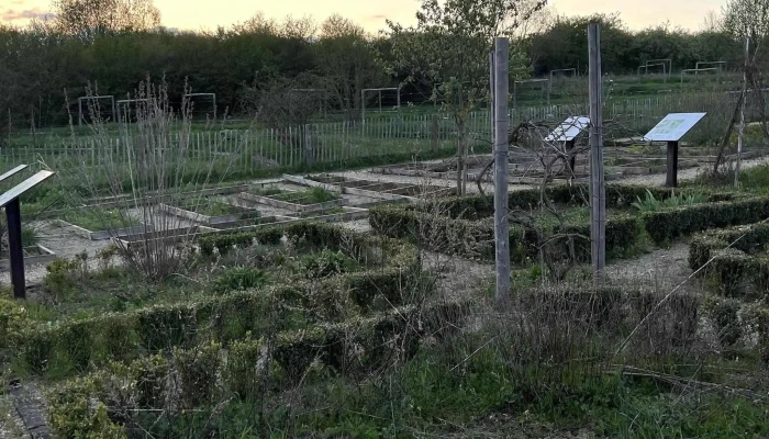Schifflinger Bongert -  Videoen - Schifflingen