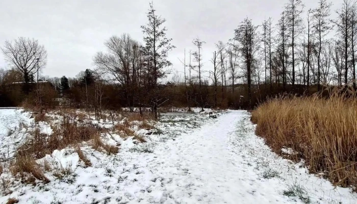 Schifflinger Bongert -  Videoene - Schifflingen