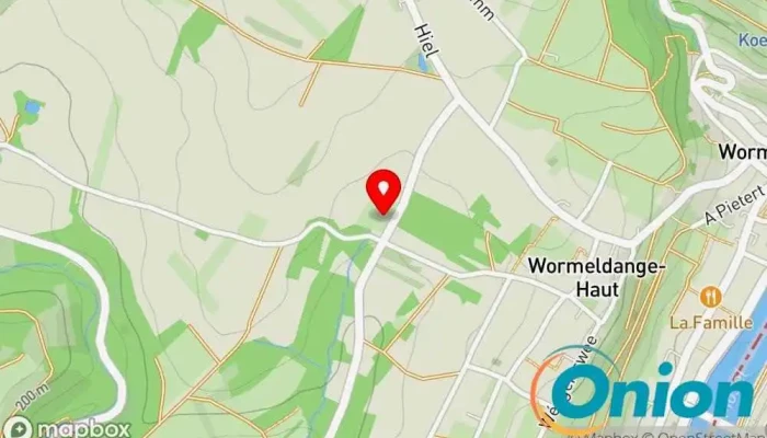 Kaart vun Schneider & Fils S.a R.l. Maler zu Wormeldingen