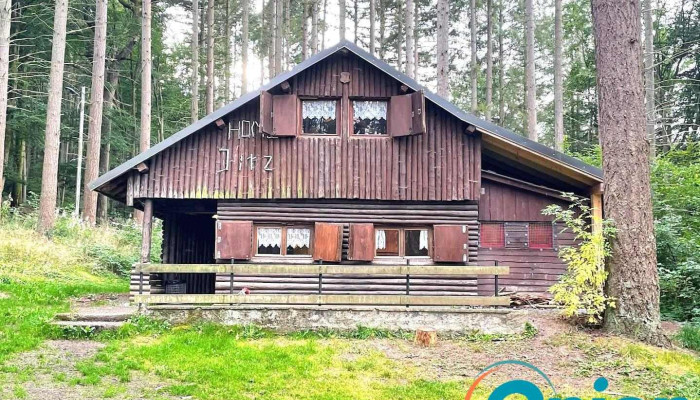 Scouts St Sébastien Wiltz - Wiltz
